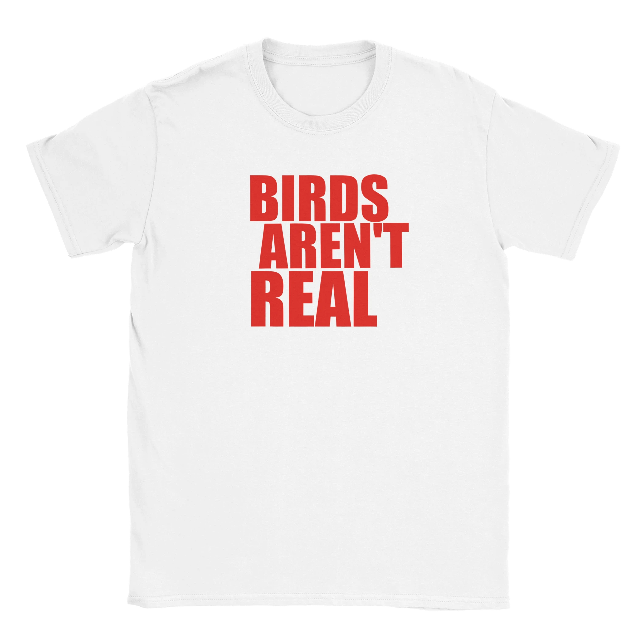 🕊️ BIRDS AREN’T REAL
